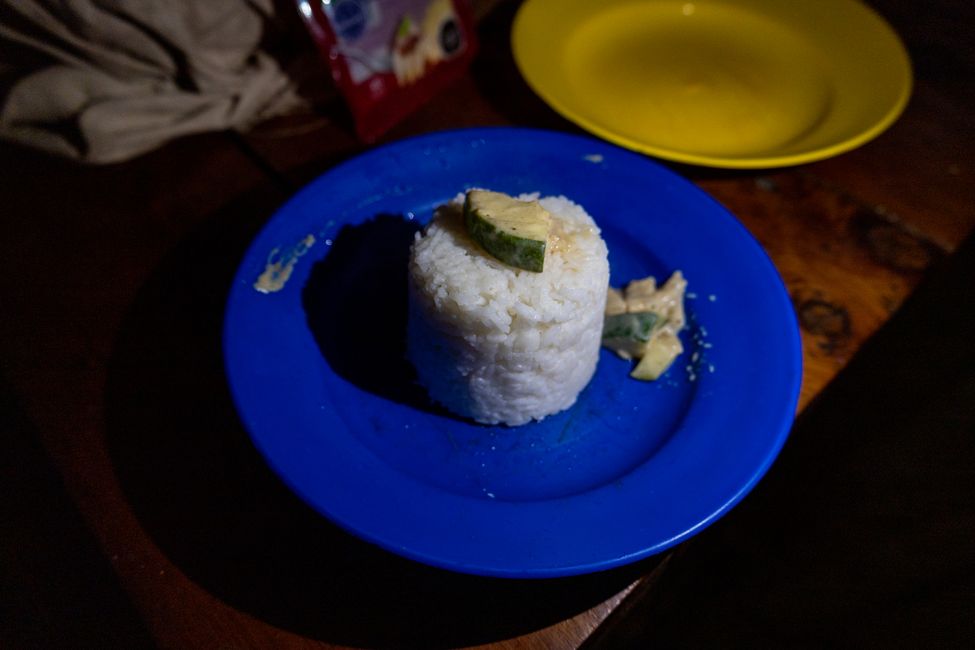 Abendessen: Das Auge isst mit, wenn schon zerkratzer schmieriger Plastikteller, dann Reistürmchen