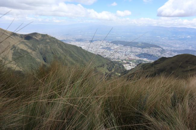 26.11.2019 Quito Pichincha
