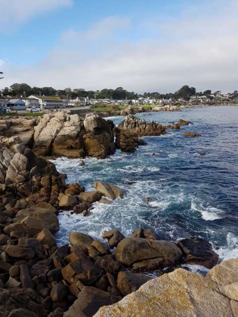Lovers Point / Pacific Grove - just 2 blocks from our lovely bed and breakfast. Here you can romp around unrestrained.