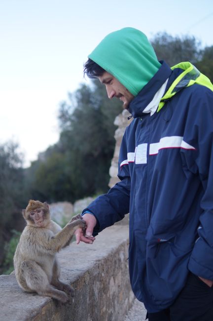 Simon with a monkey 