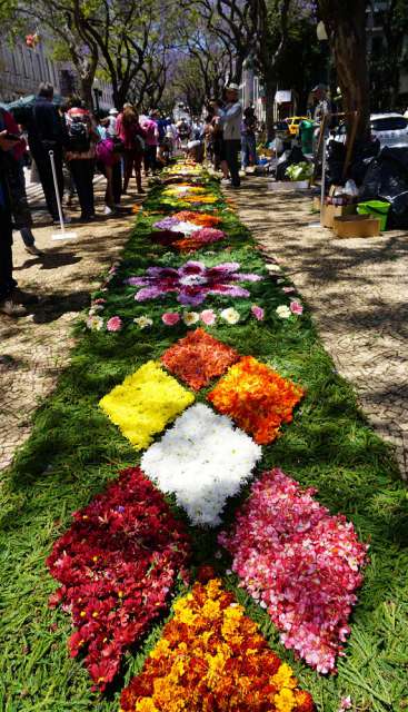 Flower carpets in the streets