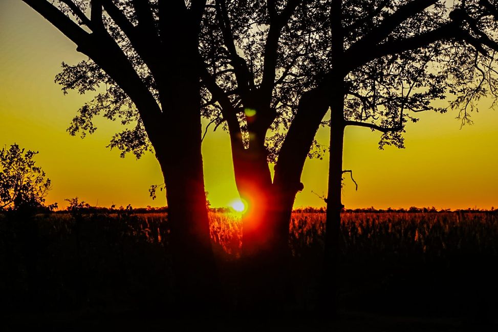 Sonnenuntergang über dem Okavango Delta