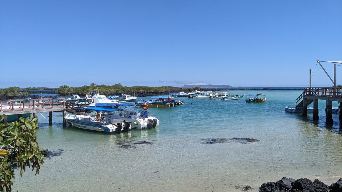 Day 37 and 38 Santa Cruz - Isabela Puerto Villamil