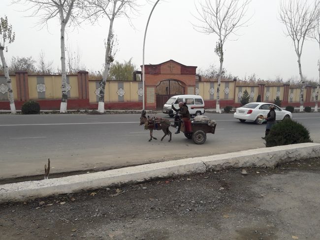 donkey carts
