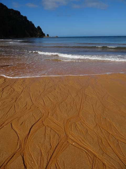 Goldiger Strand im Abel Tasman National Park