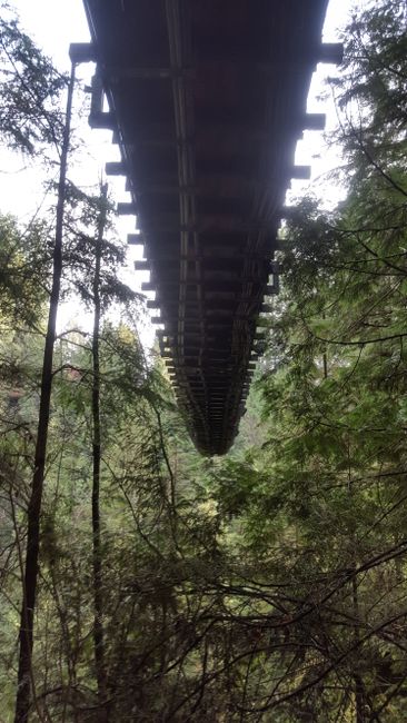 Vancouver - Capilano Bridge