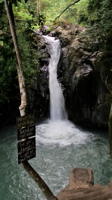 the 10-meter diving board