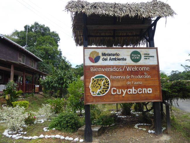 Cuyabeno - The Amazon far from civilization