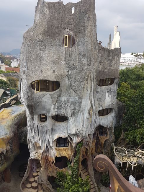 दा लाट, वियतनाम में पागल घर