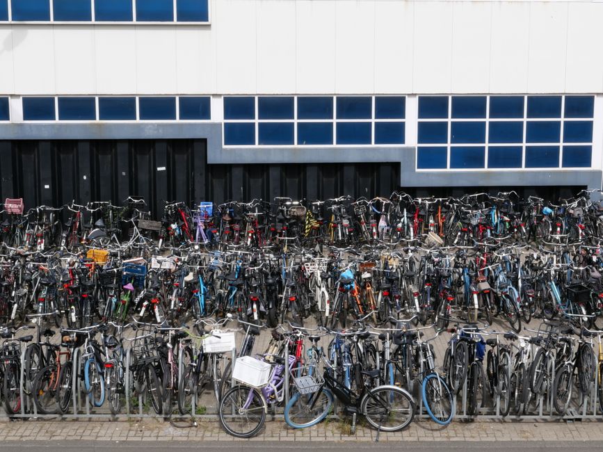 bicycle masses