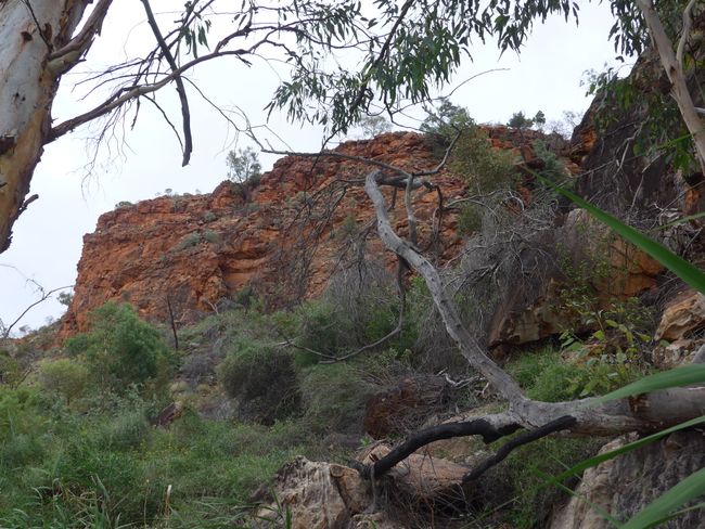 Kings Canyon - Watarrka National Park (Australia Part 36)