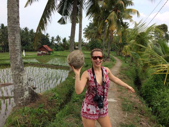 Day 4: Rice Fields and Jungle