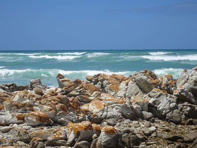 South African Road Trip III - Cape Agulhas