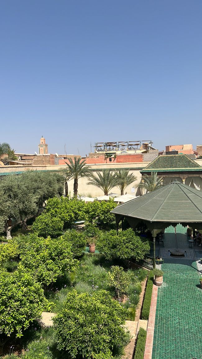 Hello Marrakesh 🌴❤️