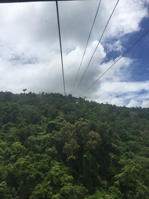 Cairns bis Brisbane - man ist das hübsch!