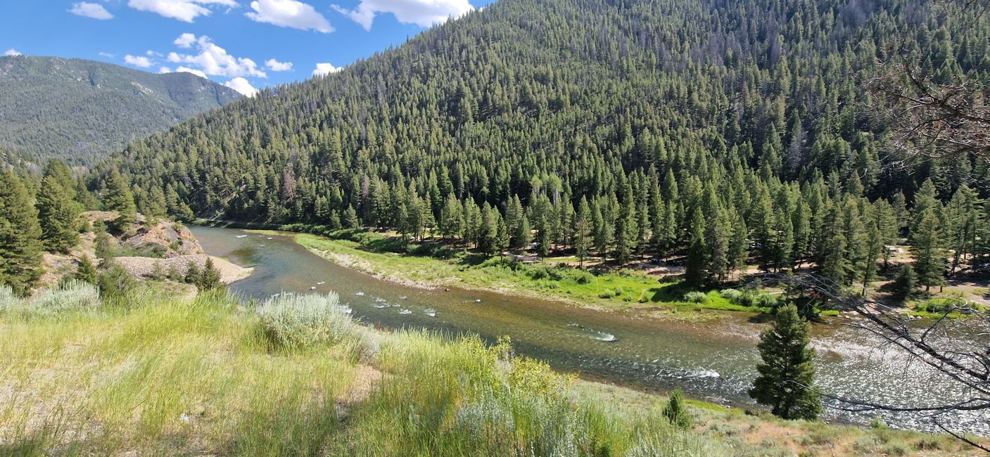 Fly Fishing on the upper Salmon River