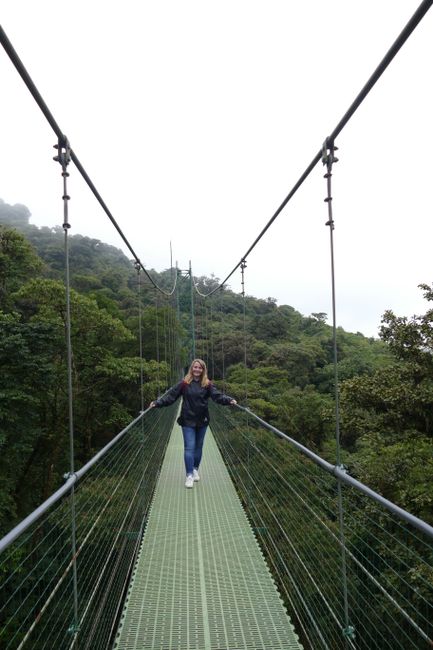 You can walk through the tops of the jungle on the suspension bridges in Monteverde and have a great view.