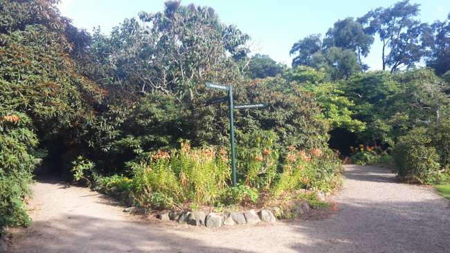 Dunedin Botanical Garden