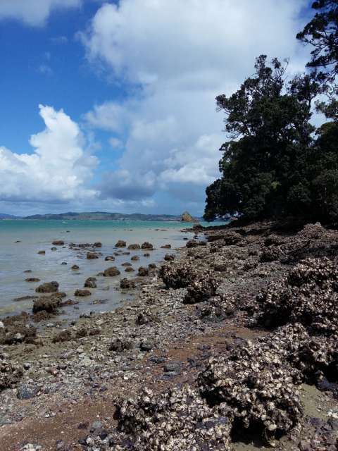 beach rocky bay