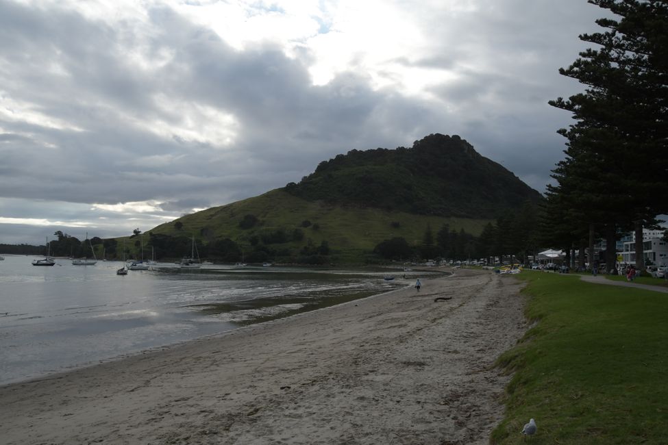 Mt.Maunganui - Vom Pilot Bay Beach aus gesehen