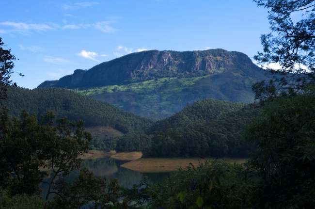 in und um Munnar rum