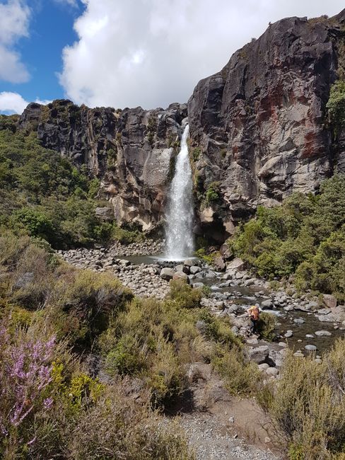 Taranaki Waterfall