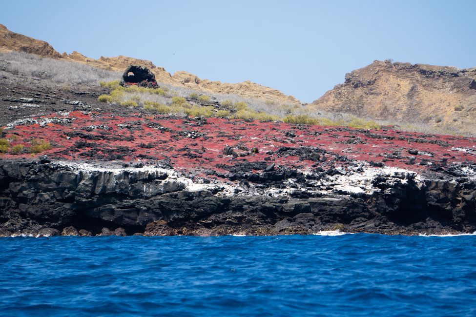 Willkommen im Paradies: Galápagosinseln - San Cristóbal