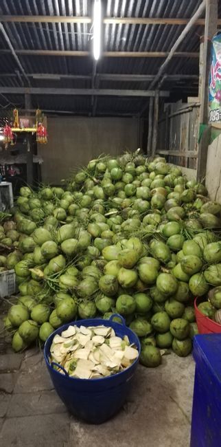 Kokosnüsse beim Straßenstand