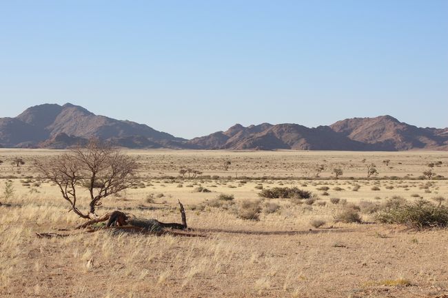 21-22.12.2018 Desert Camp Sossusvlei Namib Desert
