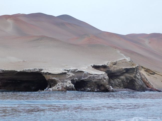 An exciting day in Paracas