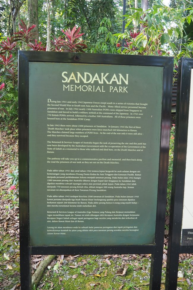 By bus from Kota Kinabalu to Sandakan 🇲🇾 in Borneo