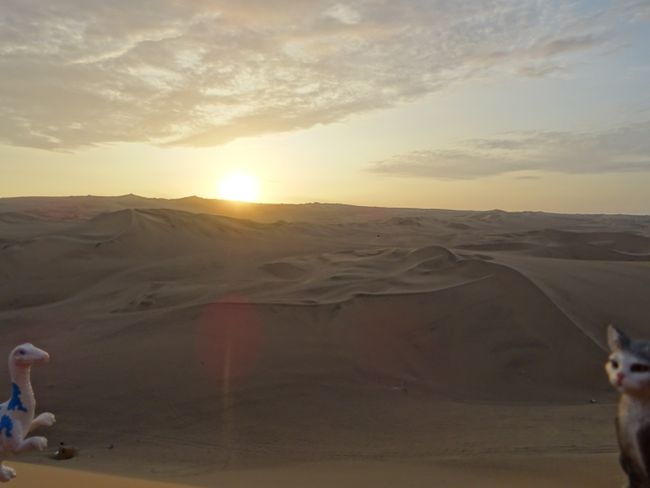 Sonnenuntergang über der Wüste bei Ica