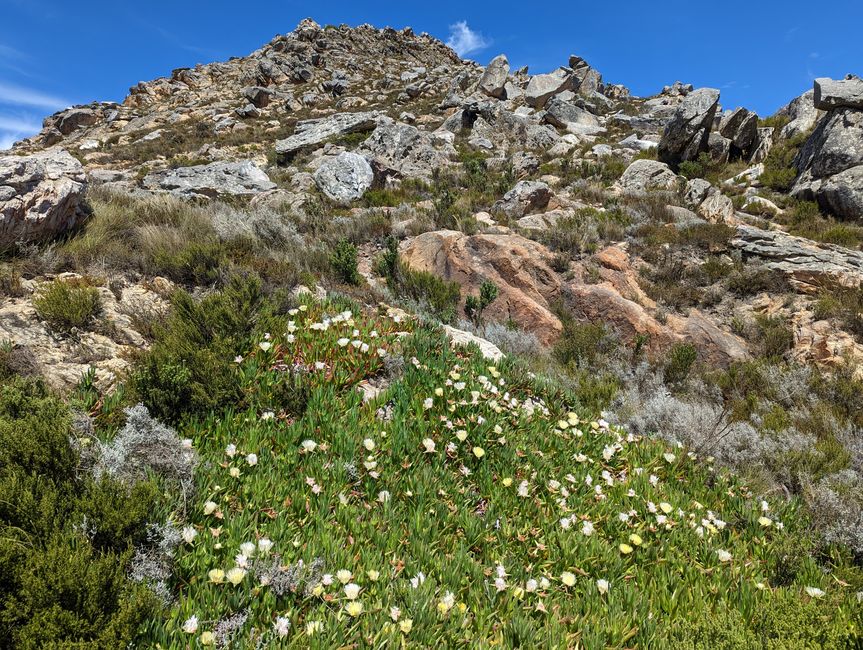 Oudtshoorn, Swartbergpass & Prince Albert