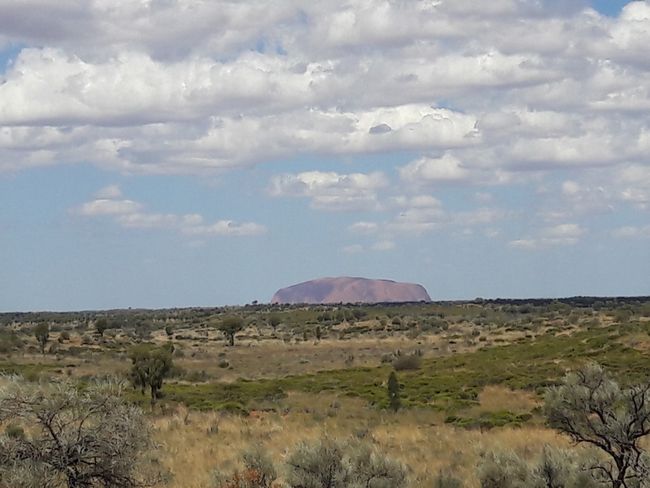 Aussicht zum Uluru 