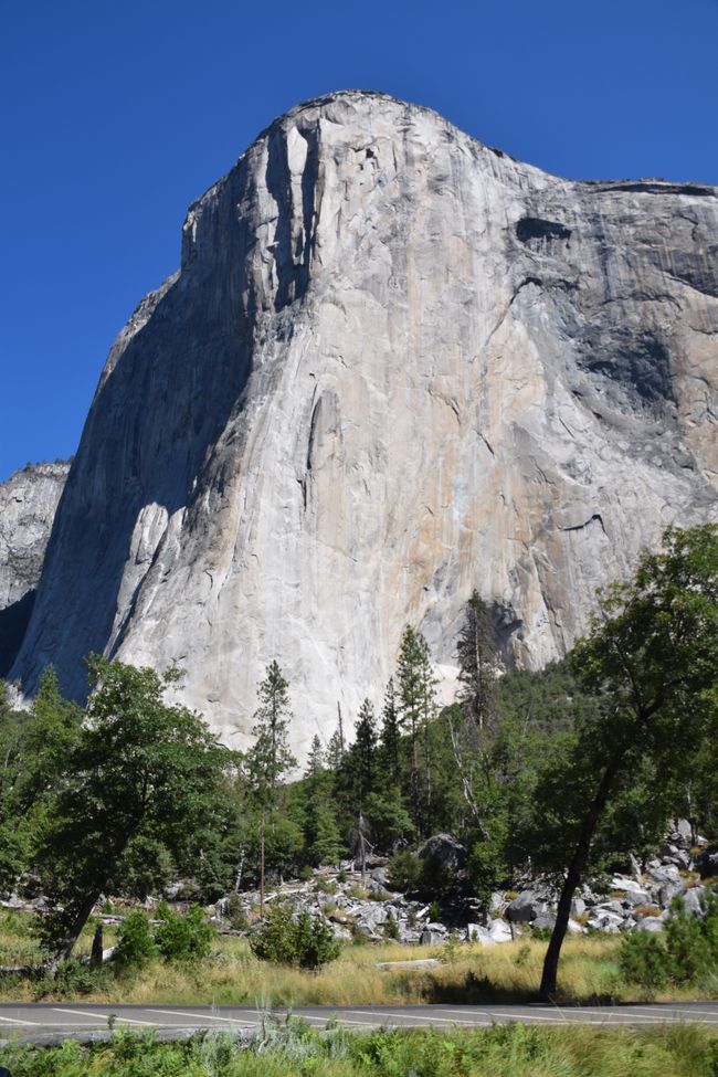 08/10 Yosemite National Park