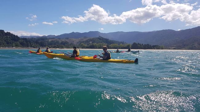 Kayaking tour in Abel Tasman 🛶