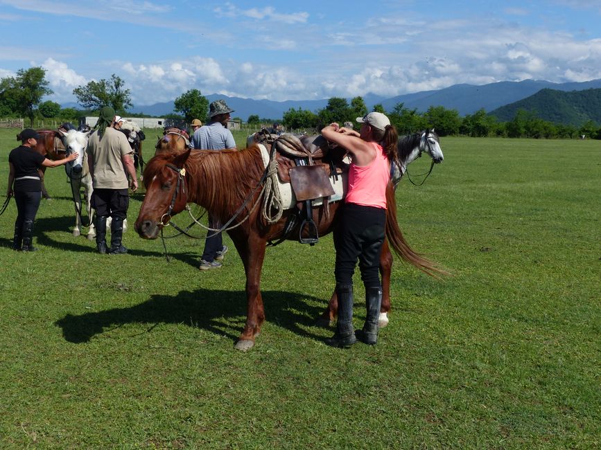 Horse trek through Georgia