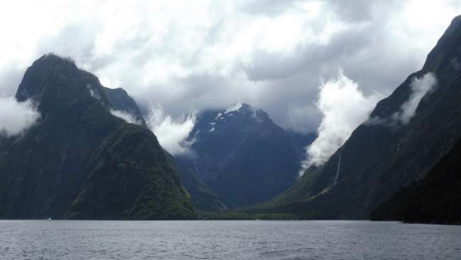 Boat tour on Milford Sound