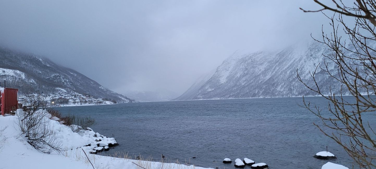 Hurrigruten Otto Sverdrup
Hamburgo-Nordkapp-Hamburgo
20 de enero de 2022