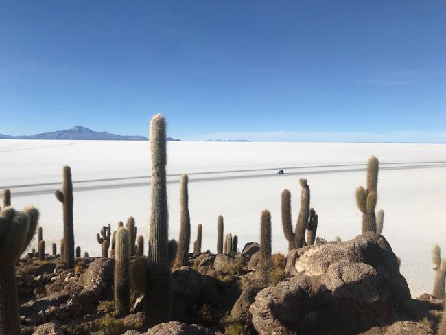 Nuotykių druskos dykuma daugiau nei 4200 m aukštyje!