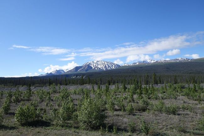 Yukon Landschaft