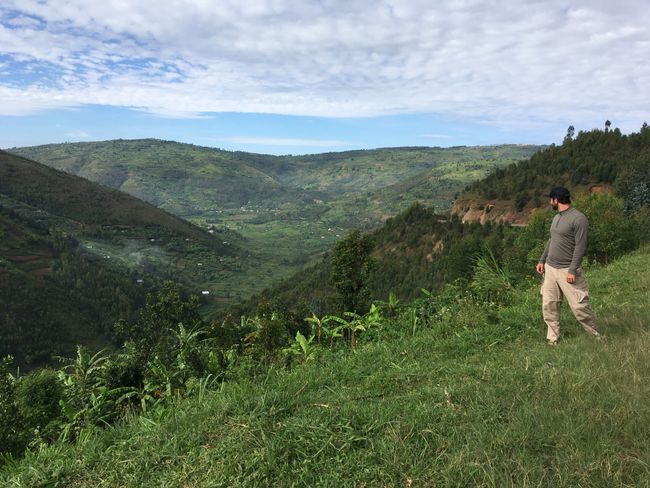View of the lush slopes in Rwanda