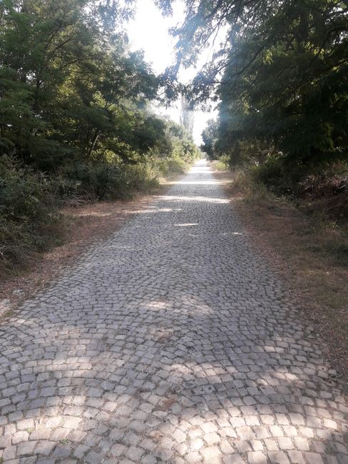 Endless cobblestone road