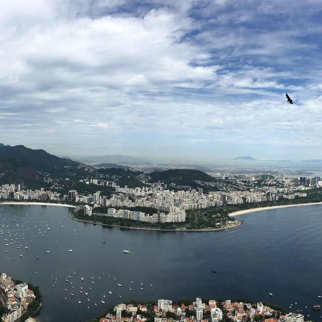Rio, you are so wonderful...