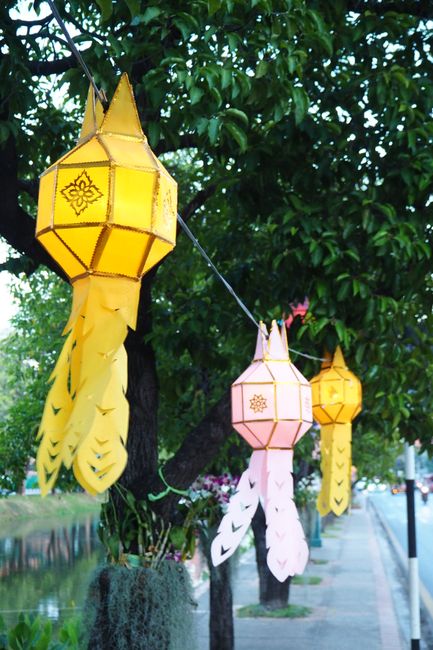 Die typischen handgemachten Laternen in Chiang Mai, überall auf den Straßen und in den Lokalen, noch vor Lichterfest. Hätte so gerne eine mitgenommen aber doch zu unförmig und groß fürs Gepäck. 