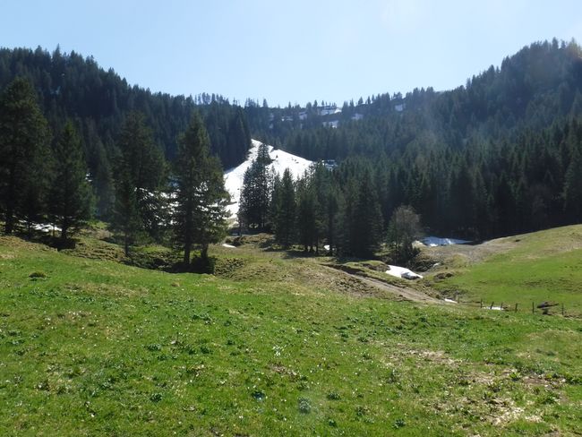Ober-Alpli - Northern end