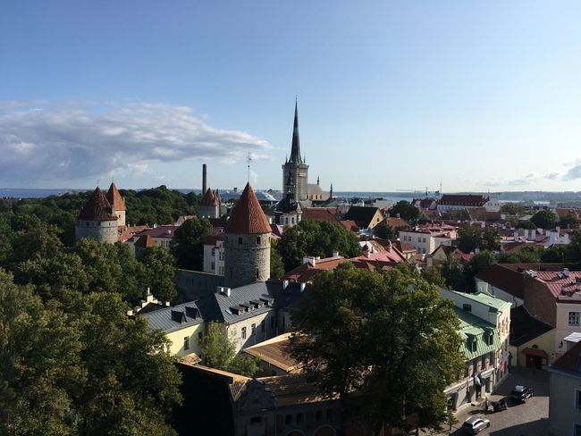 Tallinn in panorama with cruise ships.