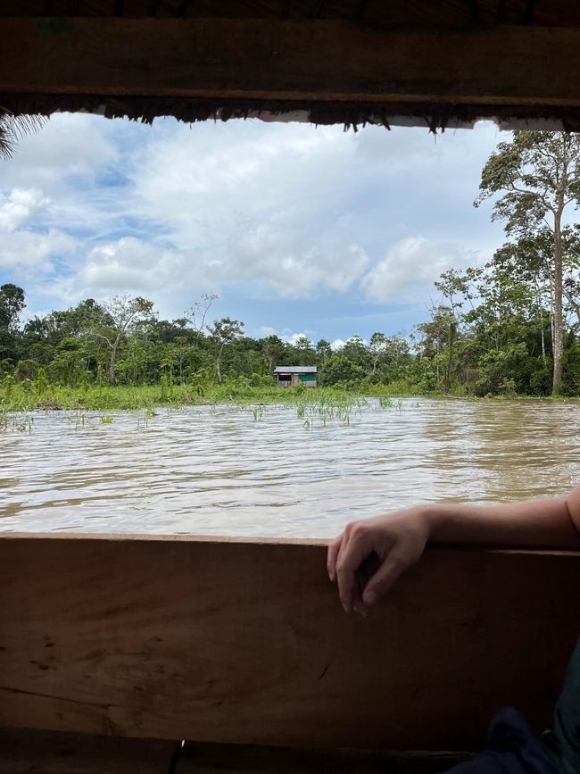Unser Dschungelcamp - Iquitos im Amazonas Gebiet