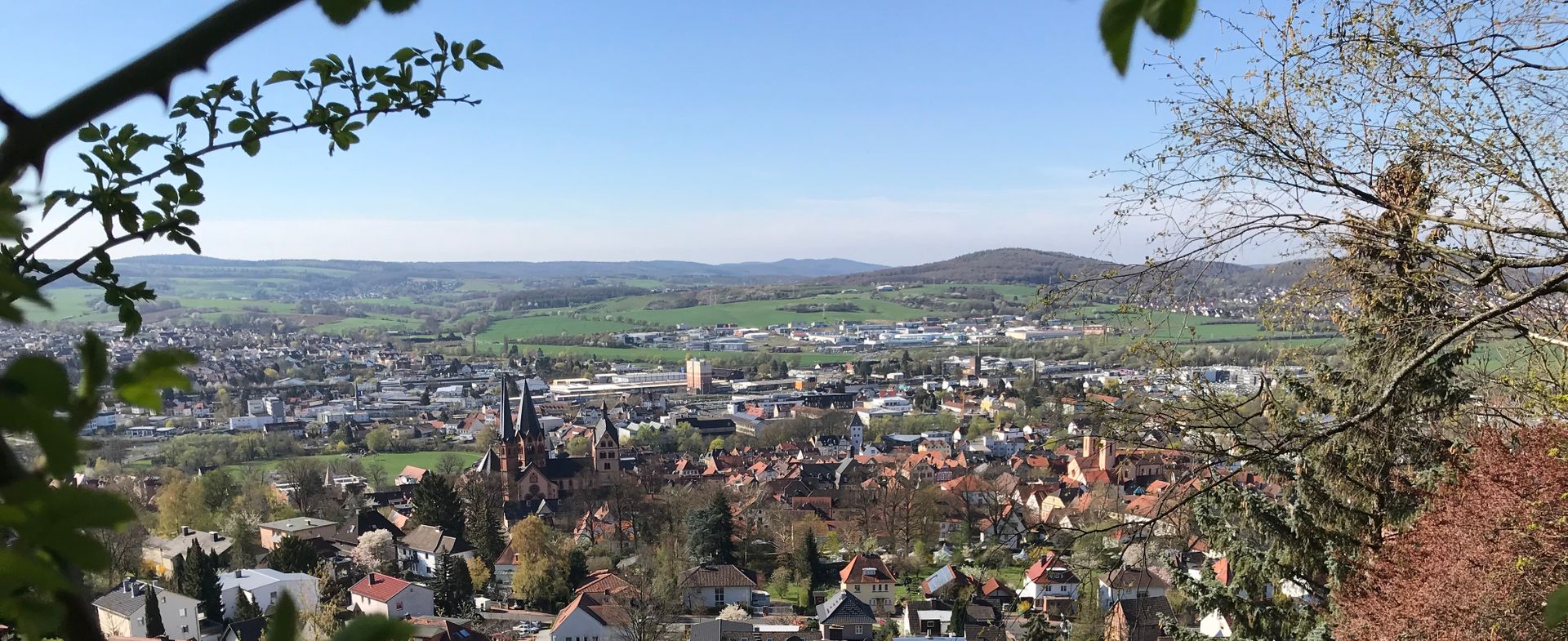 Gelnhausen dalle vigne