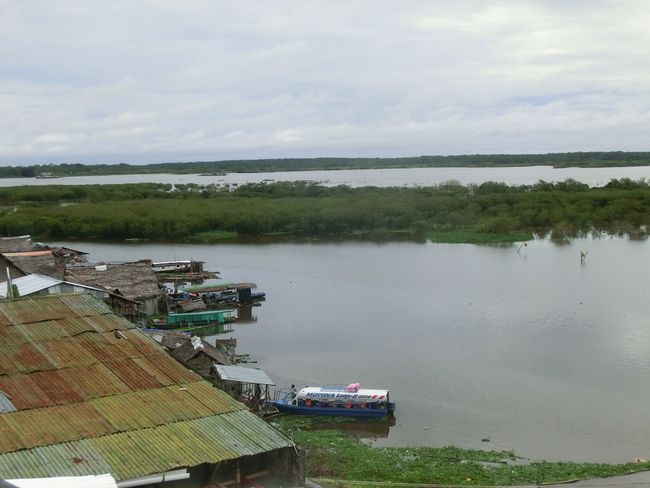 About Iquitos and the jungle - 5 days in the rainforest
